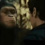 witnesstest voice changer