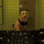 Low cut, anti-static voice changer