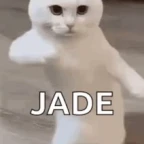 Jade voice changer