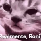 Roni voice changer