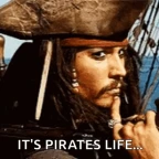 Pirate voice changer