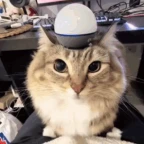 weeeooooo voice changer