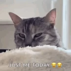 Just ME voice changer