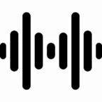 TURE SOUND MIC voice changer