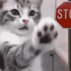 stop voice changer
