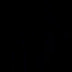 voice2 - p v2 voice changer