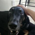 Reverb voice changer