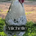 Michelle voice changer