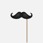 Mustache on a stick voice changer
