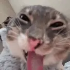 personal voice voice changer