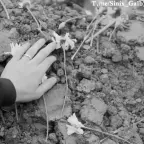 Deep Echo voice changer