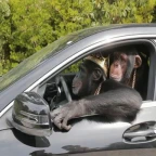 ina car voice changer