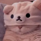 sceptic mic voice changer