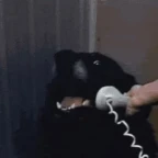 hi there voice changer