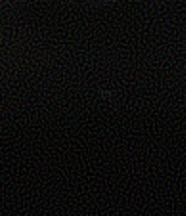 somthing maybe voice changer