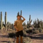 El Robot del Desierto voice changer