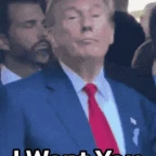 Donald Trump 02 voice changer