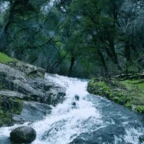 STREAM voice changer