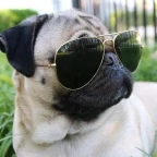 dildobek voice changer