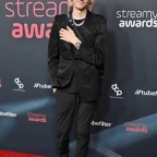 streamy voice changer