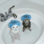 bathroom voice changer