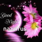 flowers v4 voice changer