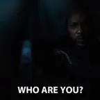 IDENTITY 2 voice changer