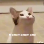 MEMEMMEMEM voice changer