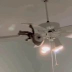 teto (Dupeep) voice changer