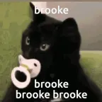 Brooke voice changer