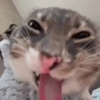 higher pitch voice changer