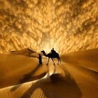 diidert voice changer