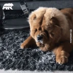 mishka voice changer