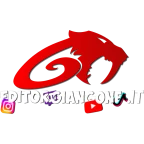 Voce nitida voice changer