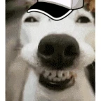 iuehywuigrighjweiwer voice changer