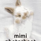 mimi toptop voice changer