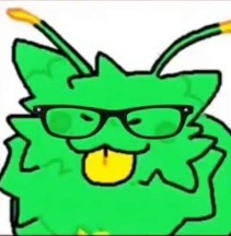 Gnarpy voice changer