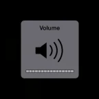 mute voice changer