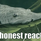 catfish that actually works voice changer