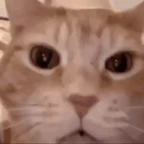 heheheheh voice changer