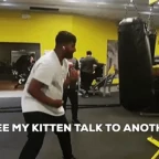 sddeess voice changer