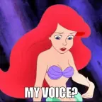 my voice voice changer