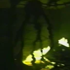 The Lifeform voice changer