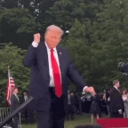 raide trump voice changer