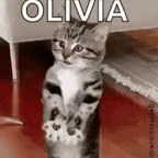 Olivia voice changer