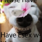 esex voice changer