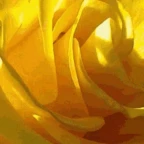 the kin in yellow voice changer