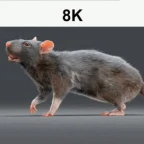 8k micccc voice changer