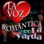 vozvoz voice changer