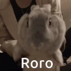 roro voice changer